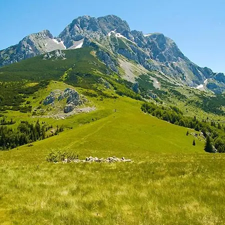 Casa vacanze Djole